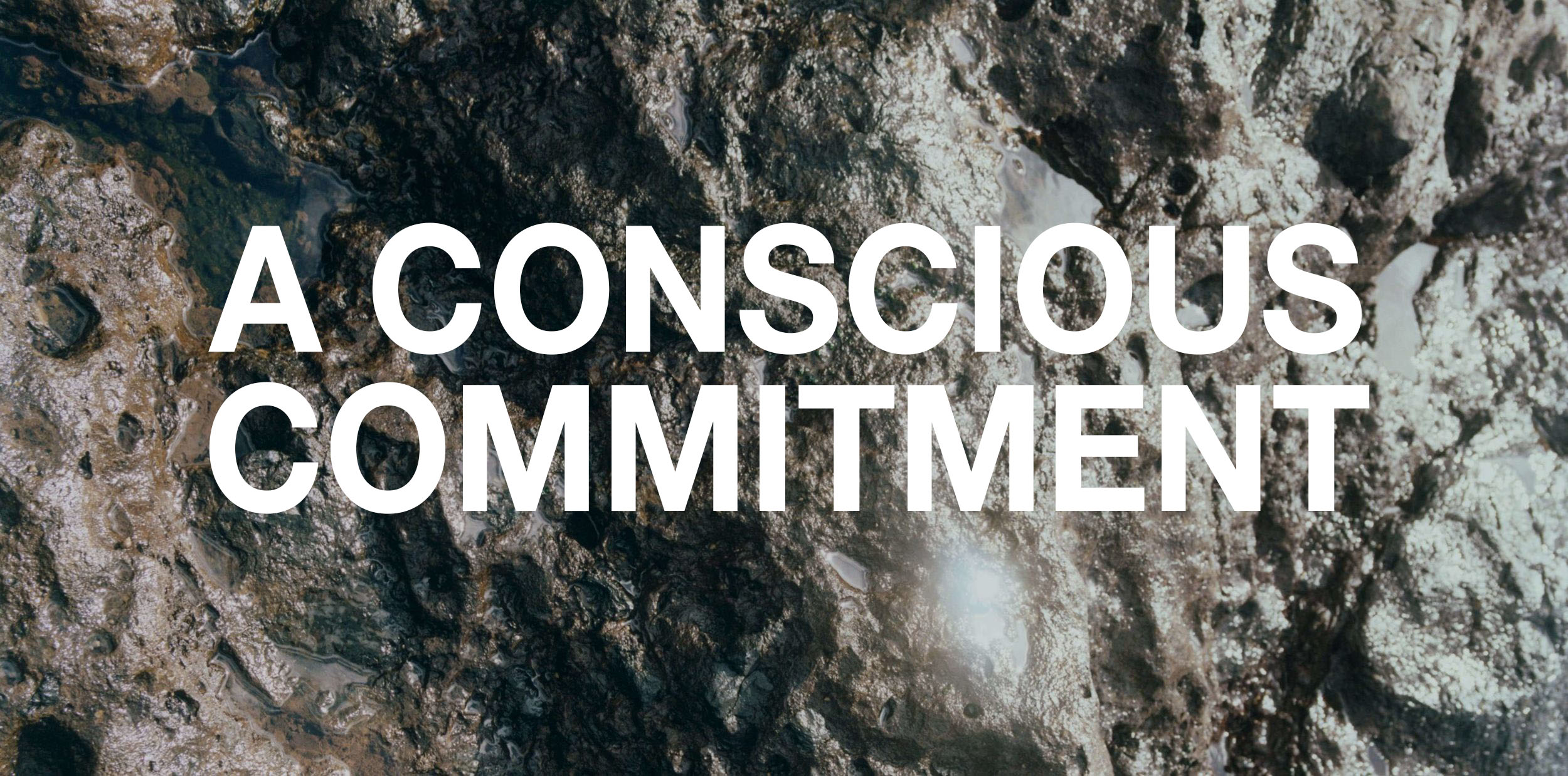 A CONSCIOUS COMMITMENT