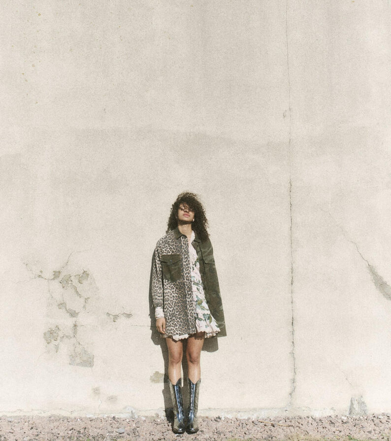 Wild plant in front of a cloudy sky background