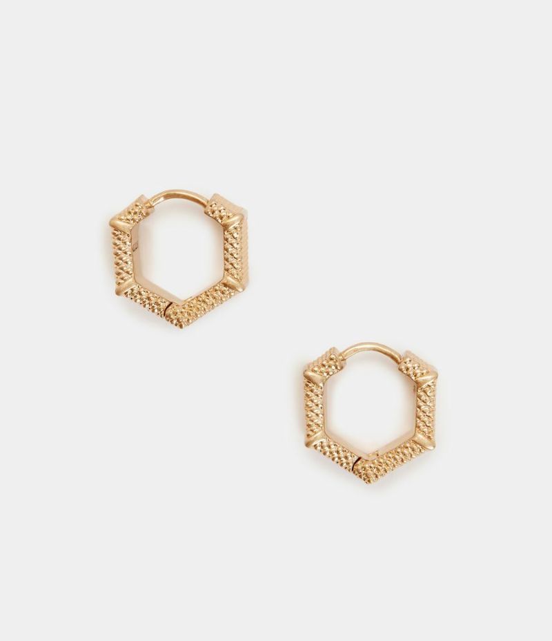 AXELLE HOOP EARRINGS | AXELLE フープ イヤリング・ピアス-